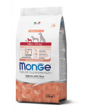 Monge spec.line monoprotein mini Puppy sausas pašaras mažų veislių jauniems šuniukams su lašiša ir ryžiais 2,5kg