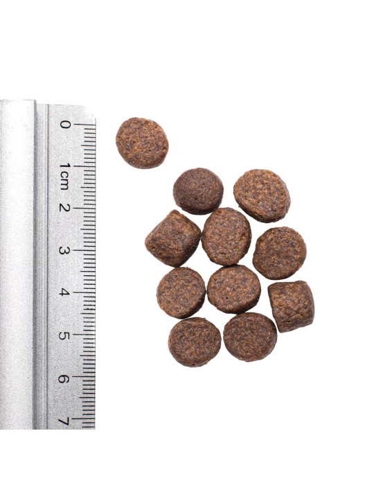 Simpsons Premium maistas šunims su lašiša ir bulvėmis - 2kg