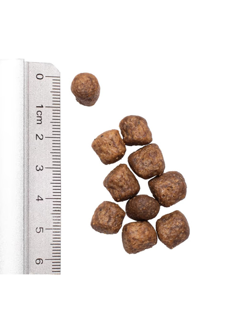 Simpsons Premium maistas šunims su antiena ir bulvėmis - 2kg