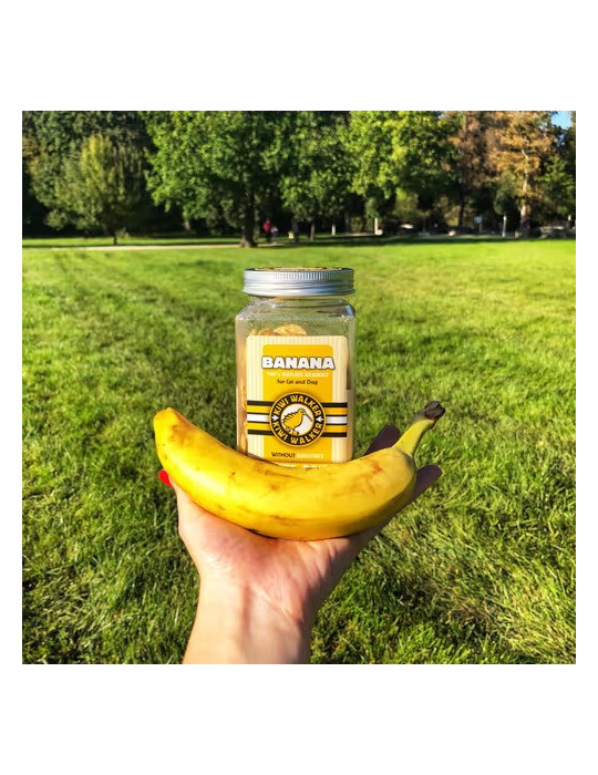 KIWI Walker liofilizuoti bananų skanėstai - 70g