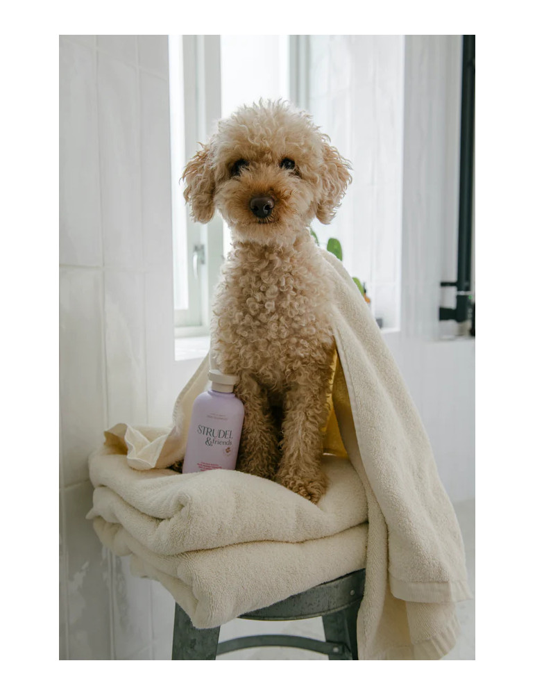 STRUDEL & FRIENDS šampūnas šunims - 300ml
