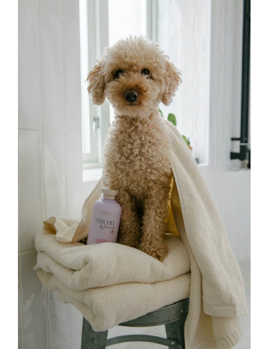 STRUDEL & FRIENDS šampūnas šunims - 300ml