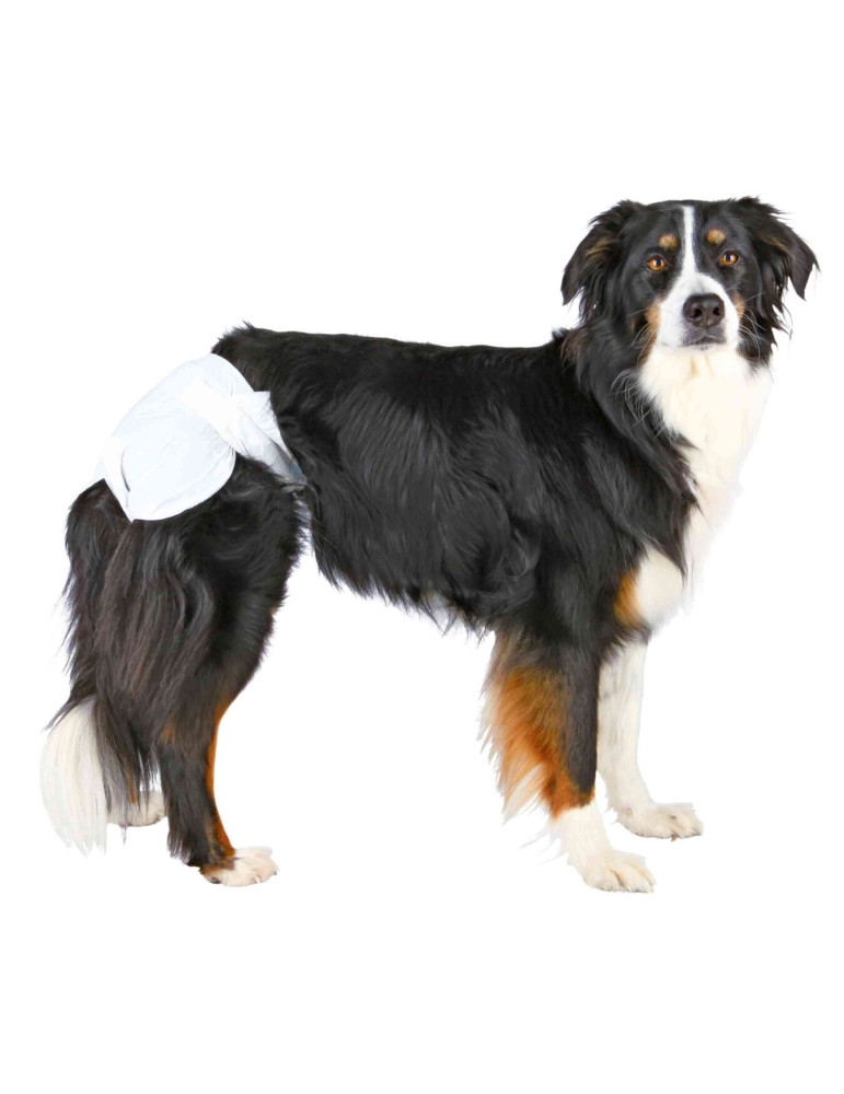 TRIXIE Sauskelnės kalėms, L 38-56 cm, 12 vnt.