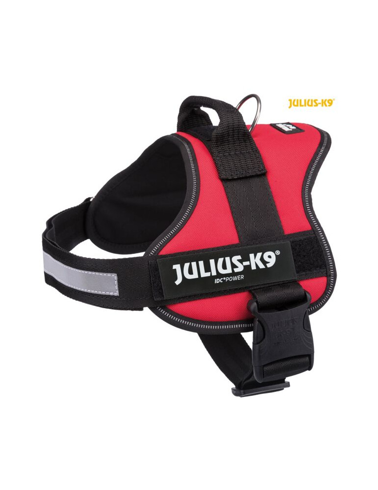 Julius K9® Petnešos, XL/2 71–96 cm/50 mm, raudonos Julius K9® Petnešos, XL/2 71–96 cm/50 mm, raudonos