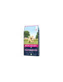 Eukanuba Puppy L/XL Breeds lamb&rice 12kg
