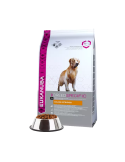 Eukanuba Golden Retriever Adult (vištiena) 12kg