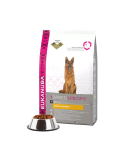 Eukanuba German Shephed Adult (vištiena) 12kg