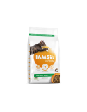 IAMS Adult Cat (ėriena) 10kg