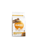 IAMS Adult Cat Hairball (vištiena) 10kg