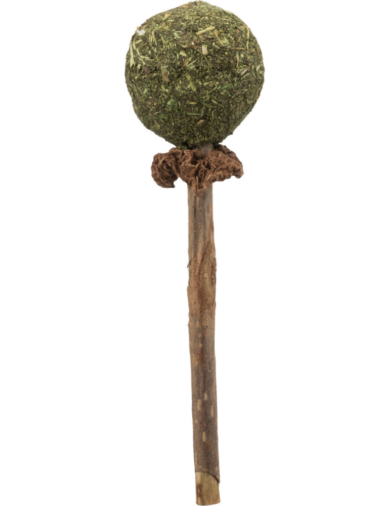TRIXIE Matatabi žaislas katei lazdelė su katžolės kamuoliuku, 11 cm TRIXIE Matatabi žaislas katei lazdelė su katžolės kamuoliuku, 11 cm