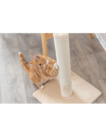 TRIXIE Batres draskyklė stulpas katėms , 62 cm, smėlio sp.