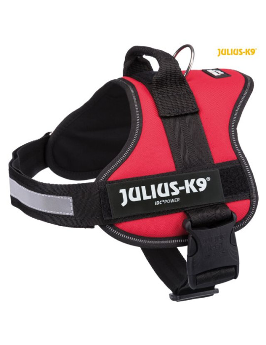 K9 Petnešos šuniui 2XL/3: 82–116 cm/50 mm, raudona K9 Petnešos šuniui 2XL/3: 82–116 cm/50 mm, raudona