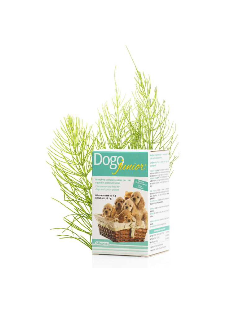 DOGOTEKA DOGOjunior 60 tabl.