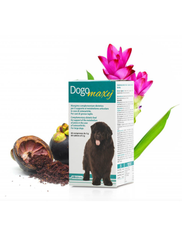 DOGOTEKA DOGOmaxy 60 tabl.