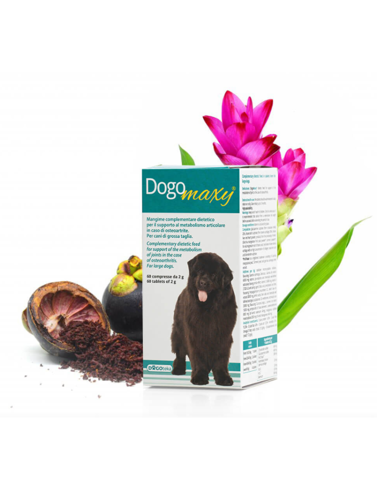 DOGOTEKA DOGOmaxy 60 tabl.