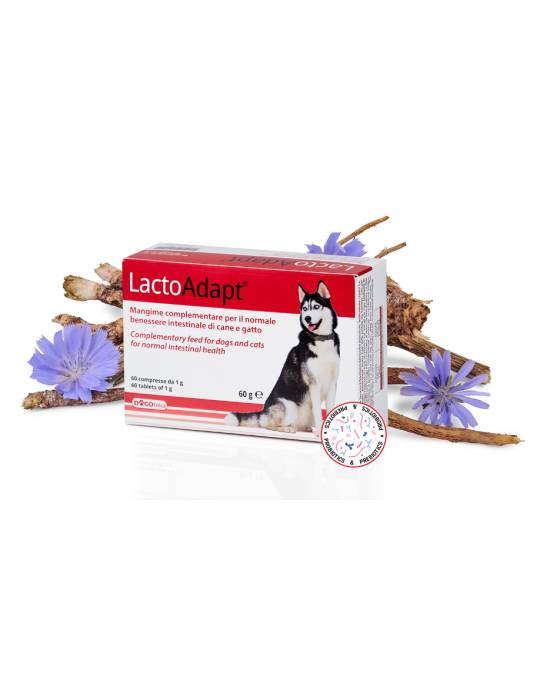 DOGOTEKA LactoAdapt 60 tabl.