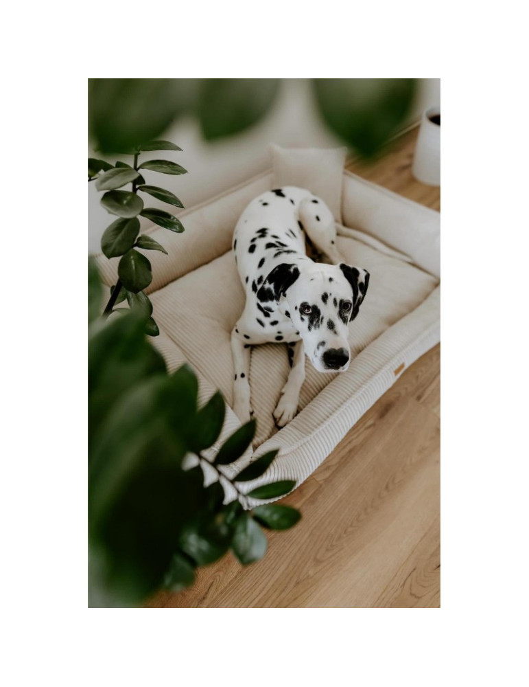 Ortopedinė šunų lova Denzoo Milano - BEIGE