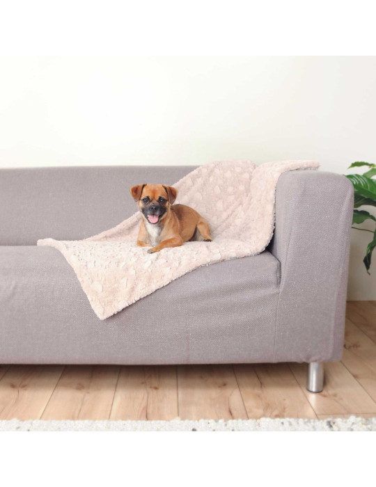 TRIXIE Cosy pliušinė antklodė 100x70 cm, šviesi