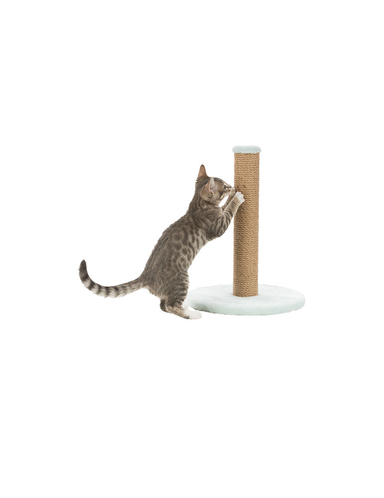 TRIXIE Junior draskyklė-stulpas katėms, 42cm, mėtų