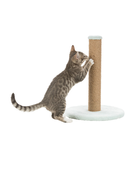 TRIXIE Junior draskyklė-stulpas katėms, 42cm, mėtų