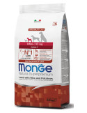 Monge Dry Dog Spec. Line - mažų veislių suaugusiems šunims su ėriena, ryžiais ir bulvėmis 0,8 kg