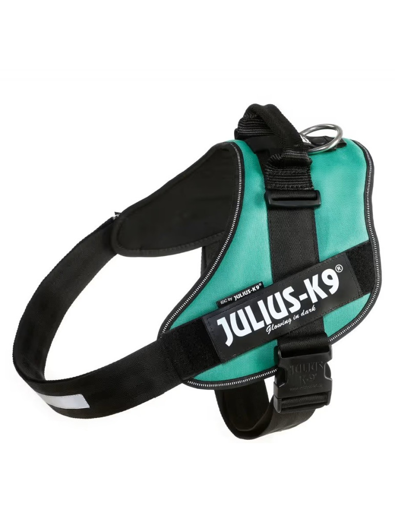 Julius-K9 IDC petnešos šunims, šviesiai žalia Julius-K9 IDC petnešos šunims, šviesiai žalia